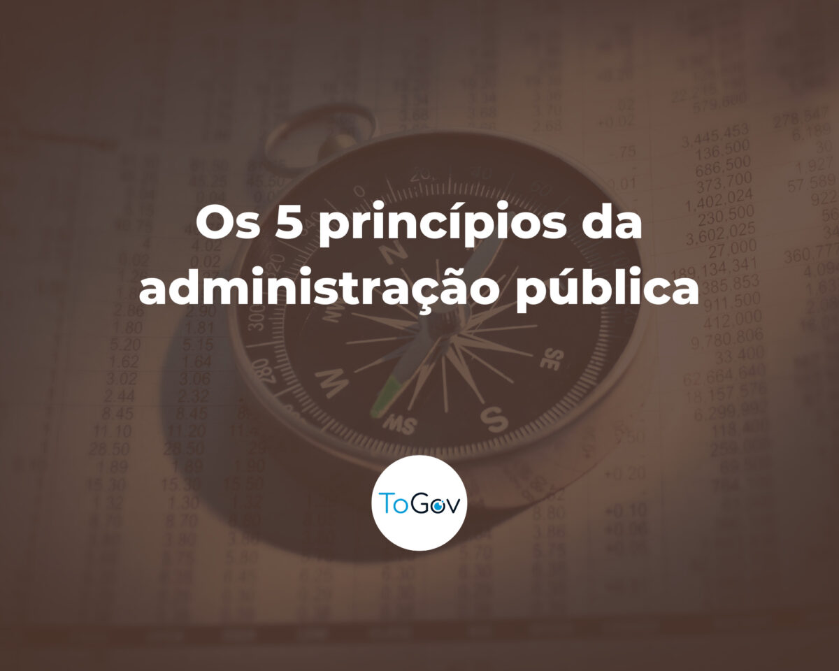 Quais são os 5 Princípios da Administração Pública e qual é a sua importância?